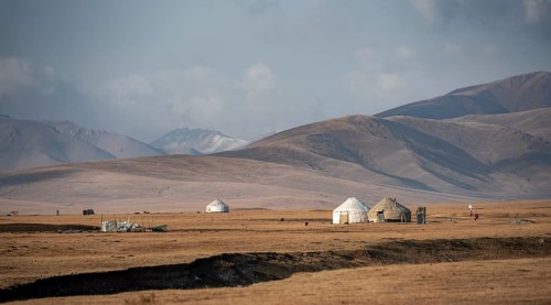 Yurts at Song Kul in autumn, Moldo Too Mountains, Naryn region, Kyrgyzstan, Asia