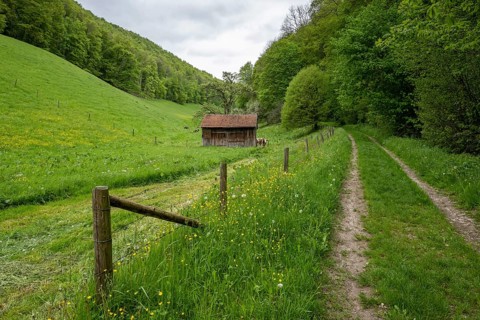 Hiking trail to the ReuÃŸenstein ruins, Wiesensteig, Swabian Alb, Baden-Württemberg, Germany,