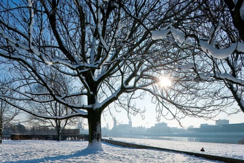 Dresden silhouette in winter
