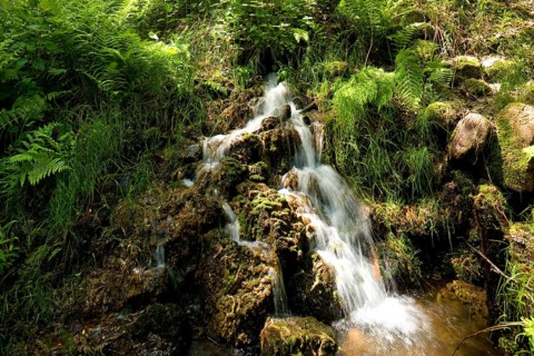 Mine drainage streams near Altenberg, as a legacy of mining in the Ore Mountains, there are