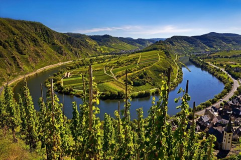 Moselle loop with vineyards and Saint Laurentius Church from the Bremmer Calmont via ferrata,