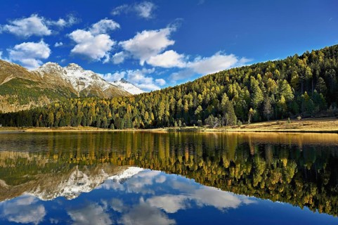 Autumn atmosphere with discoloured larches, Lake Staz, Lej da Staz, St. Moritz, Engadin, Canton