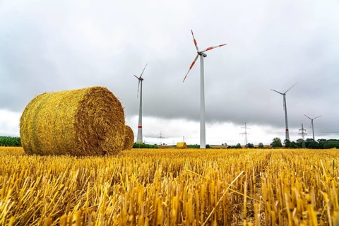Power lines, high-voltage power lines, wind turbines, grain field, north-east of Höxter, North