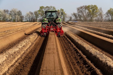 A farmer builds asparagus ridges on a field with the help of an asparagus tiller, in which the