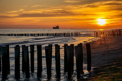 Sunset on the beach of Zoutelande, beach with wooden pile breakwaters, cargo ship sailing towards