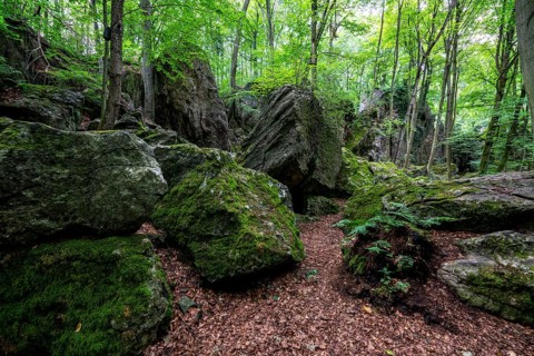The Felsenmeer in Hemer, Sauerland, geotope, with rugged rock formations, nature reserve, North