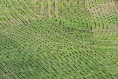 Traces on a cultivated area, Crete Senesi, Province of Siena, Tuscany, Italy, Europe