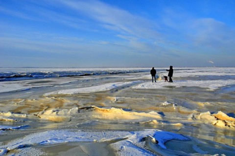 Germany, Lower Saxony, Varel, Dangast, Butjadingen, Butjadinger Land, walker, winter, East Frisia,