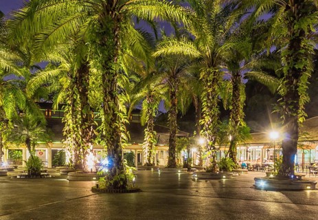 Decorative night lighting in the Botanic Garden of Singapore