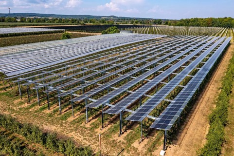 Agri-photovoltaic test plant, an apple orchard with two different systems of PV modules was roofed