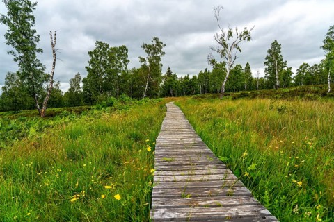Bohlenweg, in the Struffelt nature reserve, near Roetgen-Rott, part of the Eifelsteig long-distance