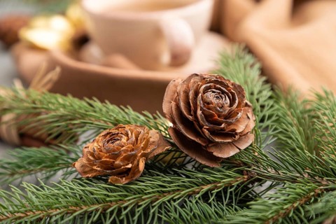 Christmas or New Year composition. Decorations, cones, cinnamon, fir and spruce branches, cup of
