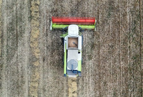 Aerial view of combine harvester harvesting grain on an organic farm, Müncheberg, 28/07/2020