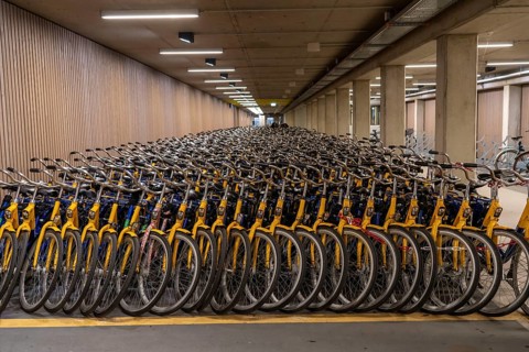 Bicycles at the OV-Fiets rental station, at Utrecht Central Station, hundreds of rental bikes