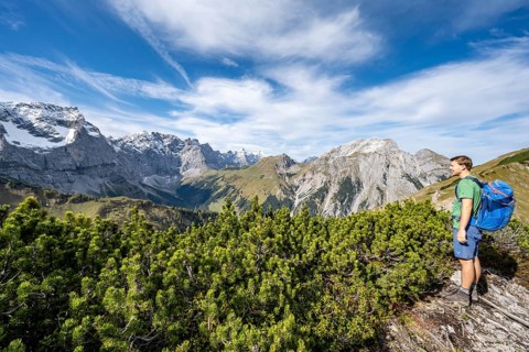 Mountaineer on a hiking trail with mountain pines, mountain panorama with rocky steep peaks, view