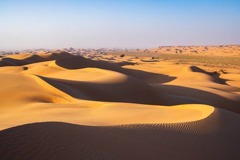 Sand dunes in the desert, near Duqm, Oman, Asia
