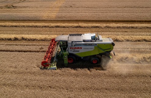 Agriculture, grain harvest, wheat, combine harvester harvesting in a wheat field, near
