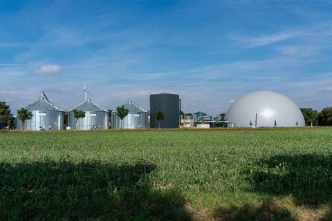 Biogas plant, storage silos, large buffer tank for hot water for intermediate energy storage,