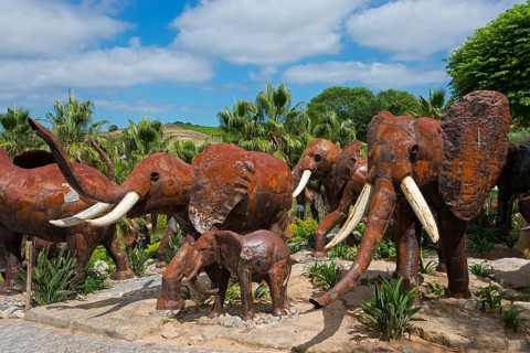 Group of metal sculptures depicting elephants in a park with trees under a blue sky, Bacalhôa,