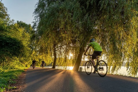 Cycling on Lake Baldeney, around 14 kilometres around the Ruhr reservoir, summer evening on the