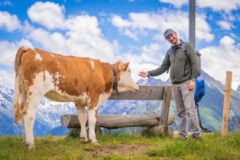 A man in outdoor clothing smiles and strokes a cow next to a bench against a mountain backdrop
