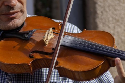 Street musician playing a violin, violin, Brittany, France, Europe
