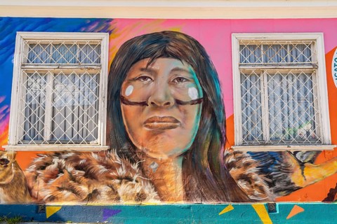 Colourful graffito with the image of an indigenous woman, street art in the city of Punta Arenas,