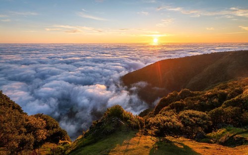 Aerial panorama of sunrise above clouds and green hills at Fanal mountain, Madeira island,