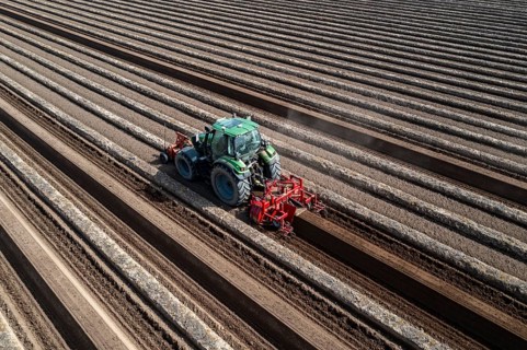 A farmer builds asparagus ridges on a field with the help of an asparagus tiller, in which the