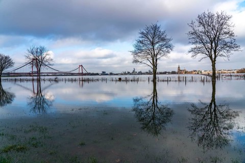 Flood on the Rhine, flooded Rhine meadows, fields, Rhine bridge Emmerich, road bridge of the B220,