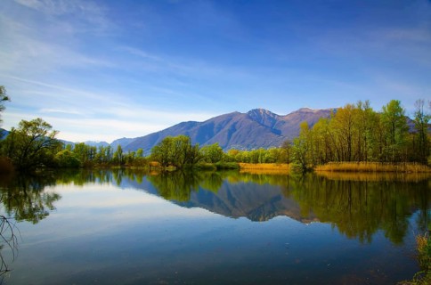 Mirror Image on an Alpine Lake Maggiore with Trees and Mountain in a Sunny Day in Locarno, Ticino,