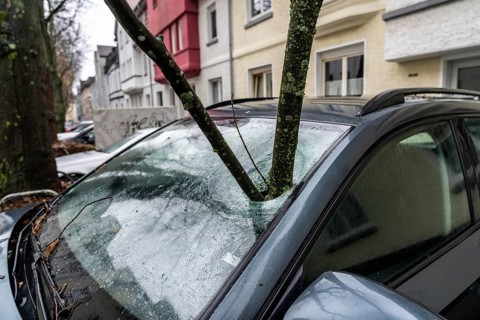 North Rhine-Westphalia, Germany, storm damage, a good 4 metre long branch was broken off by the