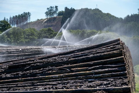 Wet wood storage of a sawmill, timber that is stored longer is sprinkled with water so that the