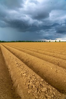 Dark rain clouds, thunderclouds over a potato field, near Grevenbroich, North Rhine-Westphalia,