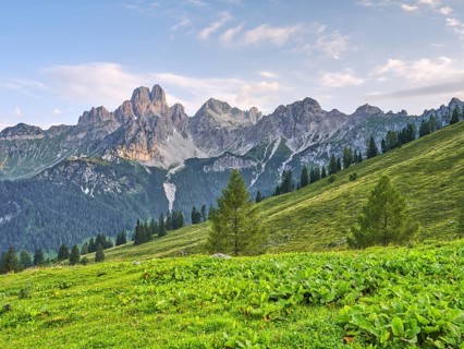Alpine meadow in front of the large Bischofsmütze, Gosaukamm, Dachstein massif, Sulzenalm,