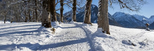 Winter hiking trail at the Hofmannsruh viewpoint above Oberstdorf, OberallgÃ¤u, AllgÃ¤u, Bavaria,