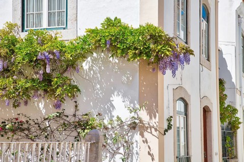 Scenic Cascais streets in historic center
