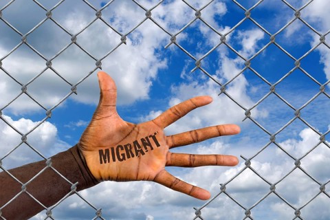 The hand of a foreigner behind a wire mesh fence, hole, loophole, help, refugee, asylum, migrant,