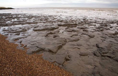 London Clay wave cut platform exposed at low tide on the beach at East Lane, Bawdsey, Suffolk,