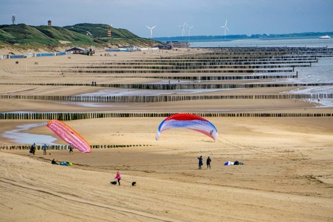 North Sea coast in Zeeland, called Zeeland Riviera, breakwater, made of wooden piles, near