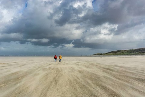 North Sea, Spiekeroog Island, autumn, strong wind drives the sand over the mudflats at low tide,