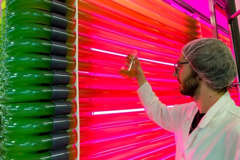 PUEVIT GmbH produces the most efficient photobioreactors for the cultivation of microalgae. The aim