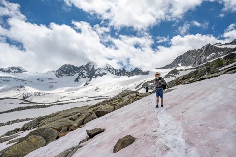 Mountaineer on a snowfield, descent from the summit of Schönbichler Horn, view of snow-covered and