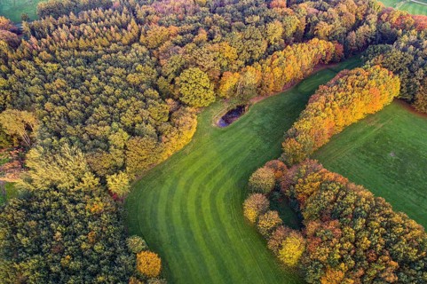 Golf course near Vechta in autumn, Grünenmoor, forest in autumn in the Moorbach valley near Vechta,