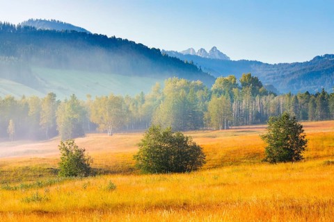 View over the Rothenthurm upland moor in autumn with the Mythen mountain peaks in the background,