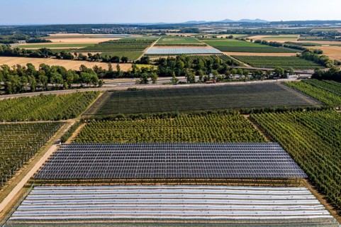 Agri-photovoltaic test plant, an apple orchard with two different systems of PV modules was roofed