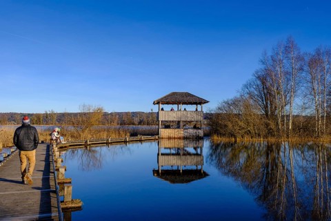 Plank path to the observation tower, high water in DieÃŸen am Lake Ammer, Diessen, Fünfseenland,