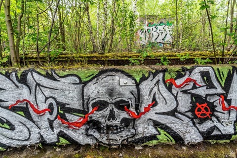 Graffiti on an abandoned marshalling yard, on the Rhine-Herne Canal, near Herne, Totenkopf, North