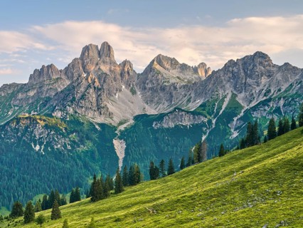 Alpine meadow in front of the large Bischofsmütze, Gosaukamm, Dachstein massif, Sulzenalm,