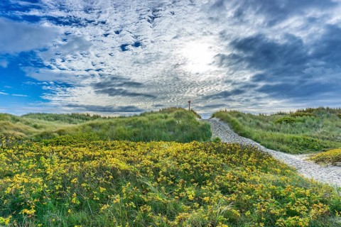 North Sea, Spiekeroog Island, autumn, dune landscape in the west of the island, dune crossing, East
